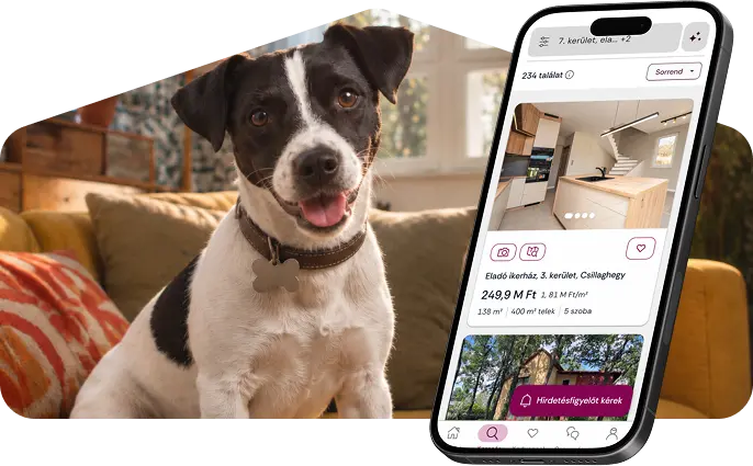 Zenga és egy mobilalkalmazás egy telefon képernyőjén